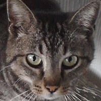 chelsea_delarosa_31 avatar