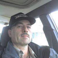 gianmamelihms avatar