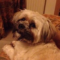 ruth_a_martin avatar