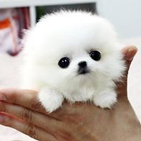 brenda_f_smith_14 avatar