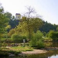 sabine_schulter_5 avatar