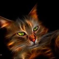 anatolii_kostov_3 avatar