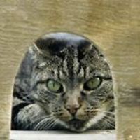 didi_inscription avatar