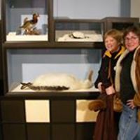 jennifer_robbins_798 avatar