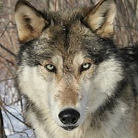 jose_correia_3388 avatar