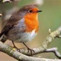 karin_blake_522 avatar