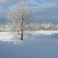 548dd1c771d58 avatar