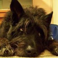 monika_morgan_14 avatar