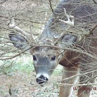 judy_davis_18488169 avatar