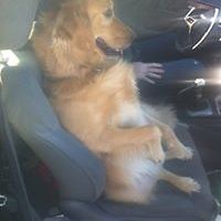 548f25fd0dd5e avatar