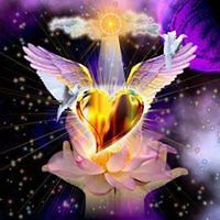 548f39111d522 avatar