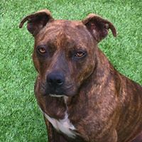 beverly_evans_7982 avatar