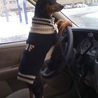 barbara_wiley_50 avatar