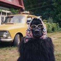 helloeverybodymynameismahmoudhowareyou avatar