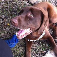 wendy_grimsdale_3 avatar