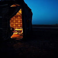 dilekmecitolu avatar