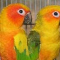 marilyn_w_hoyt avatar