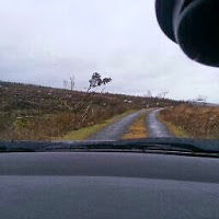 muirisfrancis avatar