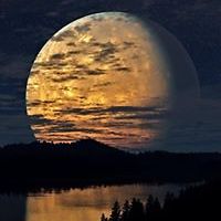 susanne_wittkamp_79 avatar