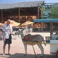 mike_flodin_9 avatar