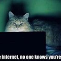 pamela_wilson_law avatar