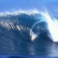 lisa_mahan_560 avatar