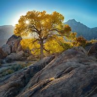 connie_cuellar_33 avatar