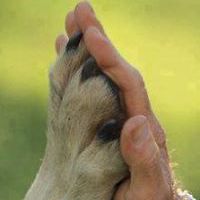 mira_bernardic avatar