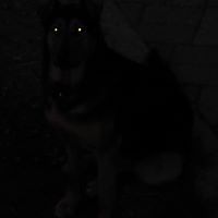 frederik_amann avatar