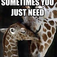 vicki_schneiderhoyt avatar