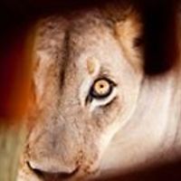 rowan_retzlaff avatar