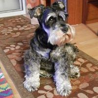 norma_vidal_58118 avatar