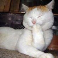 mariana_guedes_1612 avatar