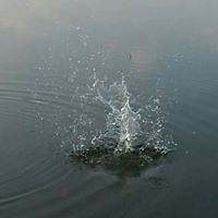 subramaniansankarann avatar