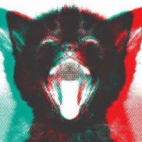 nakkiewildvangst avatar