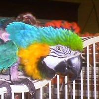 karen_kline_16 avatar