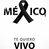 cristina_dreves avatar