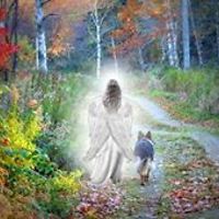 lindsay_mclachlan_71 avatar