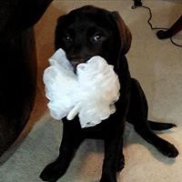 hunter_gabel_3 avatar