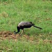 daljit_singh_5855 avatar