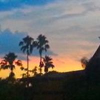 patti_wright_756 avatar