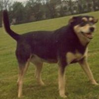 carol_stacey_581 avatar