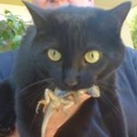 patty_woolever avatar