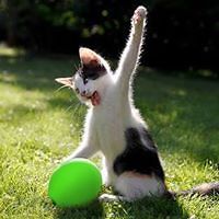 sean_m_murray avatar