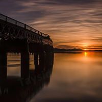 shelley_huggins_9 avatar