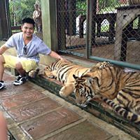 uckfayouyayitchbay avatar