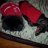 gail_morgan_96 avatar