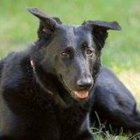 sue_crowther2 avatar