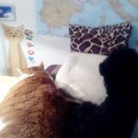 gerti_hillmer avatar