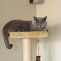 katerke_korthaar avatar